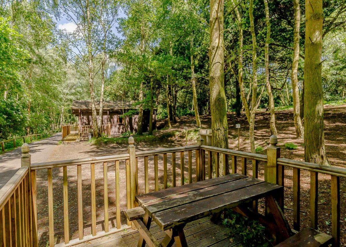 Sherwood Castle Holiday Forest Otel Edwinstowe Dış mekan fotoğraf