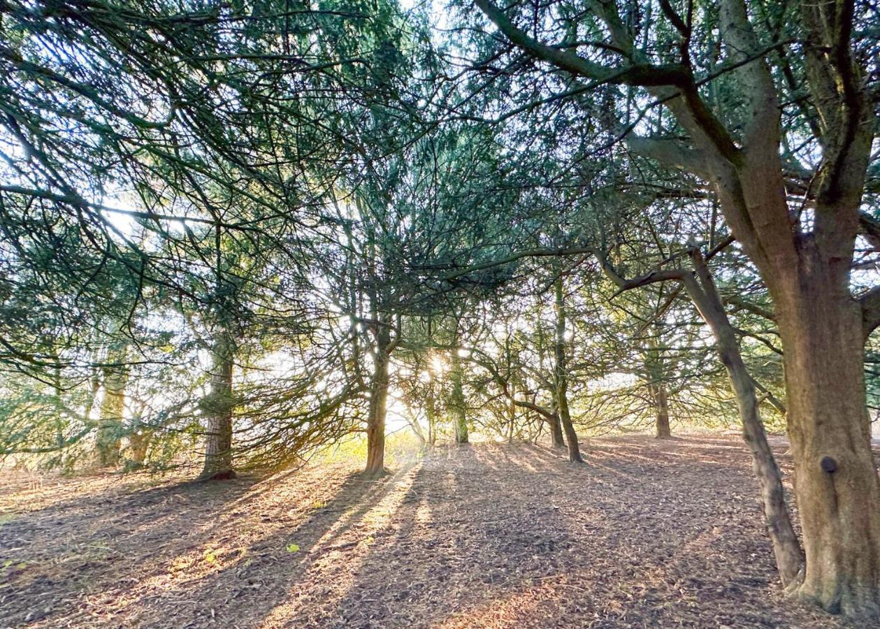 Sherwood Castle Holiday Forest Otel Edwinstowe Dış mekan fotoğraf