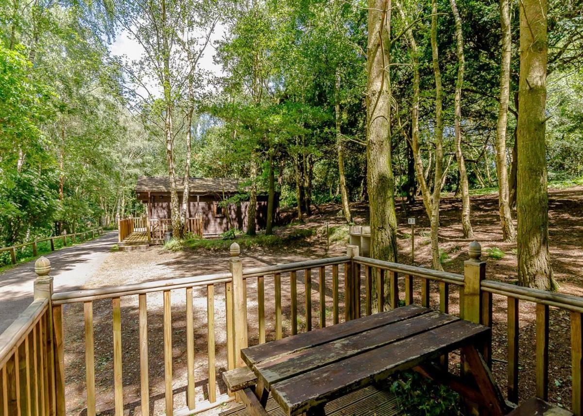 Sherwood Castle Holiday Forest Otel Edwinstowe Dış mekan fotoğraf